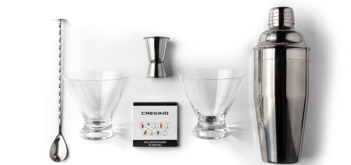 5pc Cocktail Shaker Set with Two Martini Glasses - Cresimo